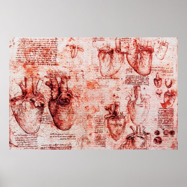 Poster Coração E Seus Vasos Sanguíneos Leonardo Da Vinci, (Frente)