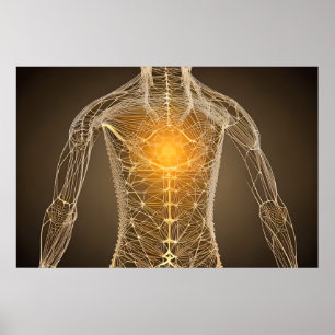 Poster Coração Sagrado, Geometria Sagrada