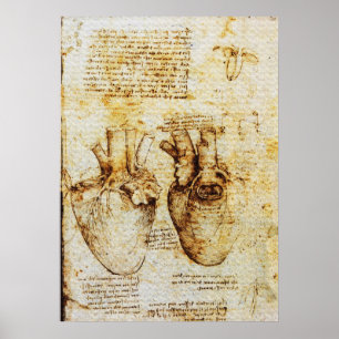 Pôster Coração,Seus Vasos Sanguíneos,Leonardo Da Vinci,Se
