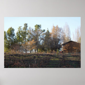 Pôster Coração Vineyard em Paso Robles, CA