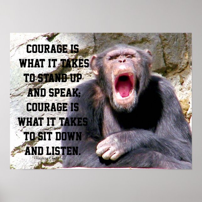 Poster Coragem_ (Frente)