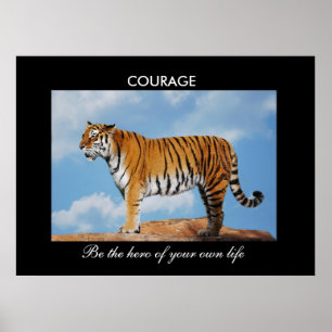Poster Coragem