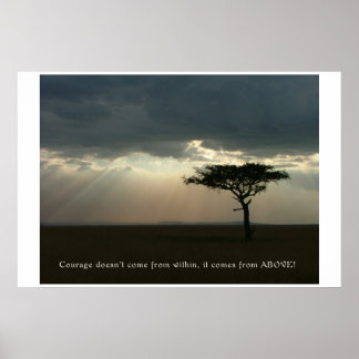 Pôster Coragem de Acima