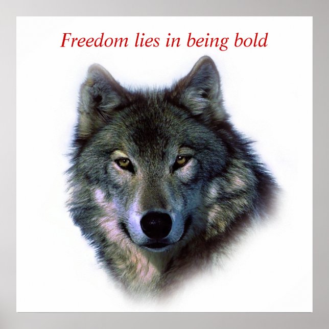 Poster Coragem Motivacional: Olhos do Lobo da Liberdade (Frente)