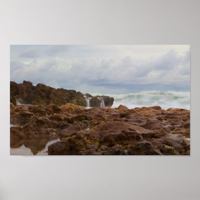 Poster Coral Cove Park Beach, Florida (Frente)