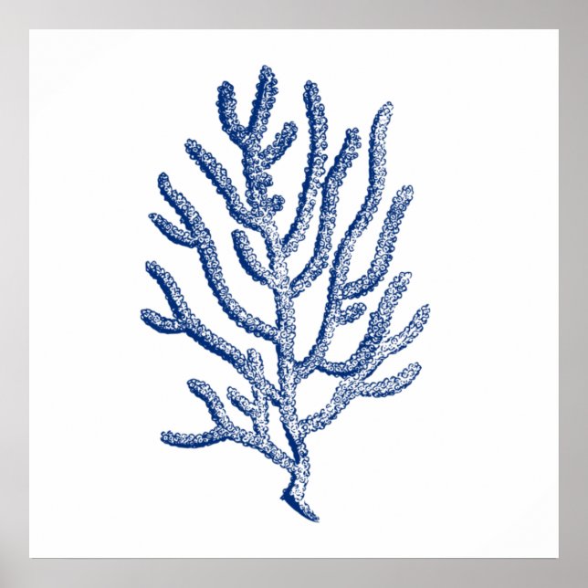 Poster Coral Minimalista em Azul (Frente)