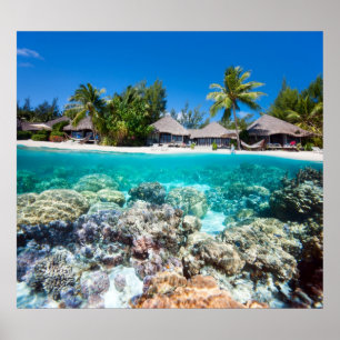 Poster Coral reef and a tropical resort