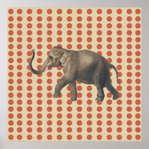 Poster Coral Spice Moods Dods com Elefante