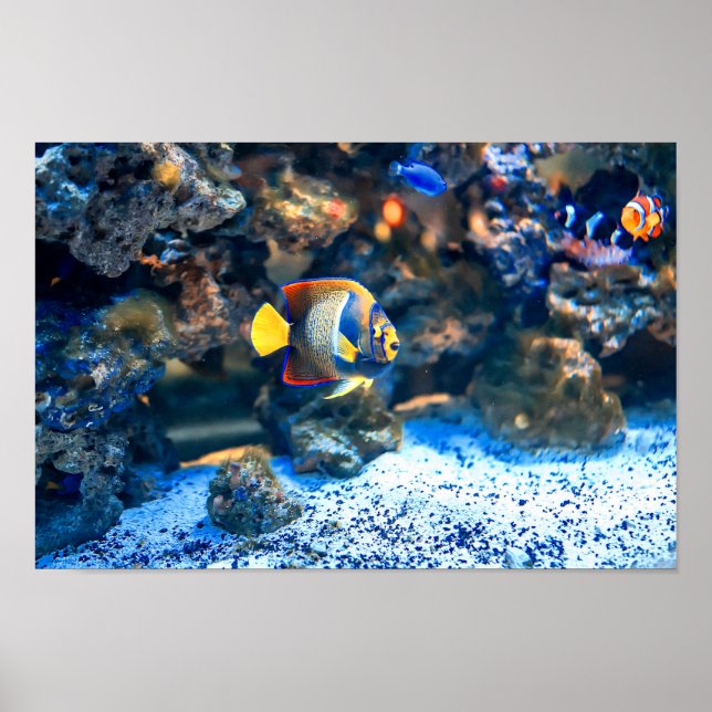 Poster Coral Tropical de Peixes Submarinos Vibrantes (Frente)