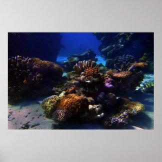Poster CoralGarden