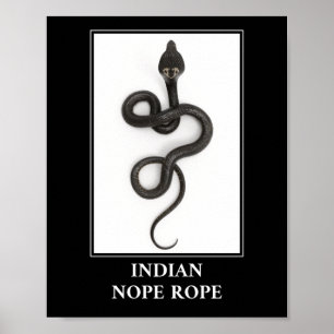 Poster Corda Nope Indiana - Perigo de Cobra Cobra