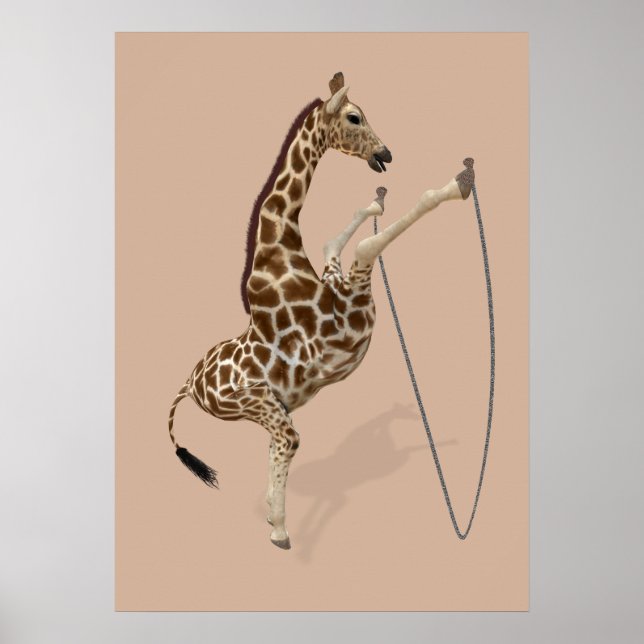 Poster Corda Pulando É Excelente Divertido (Frente)