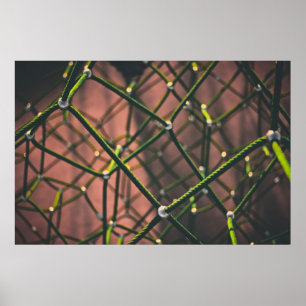 Poster Corda verde e negra
