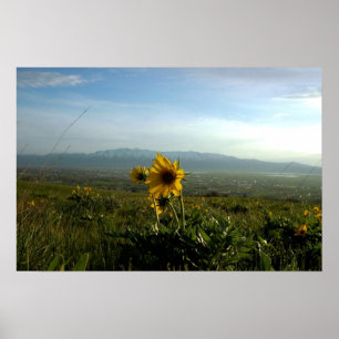 Poster Cordilheira da flor e do Wellsville