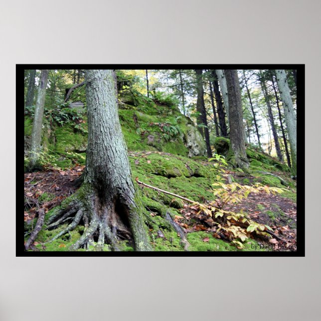 Poster Cordilheira das Cavernas do Velho #1 (Frente)