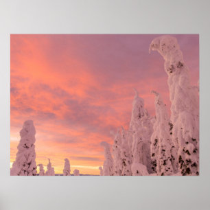 Poster Cordilheira   Whitefish, Montana