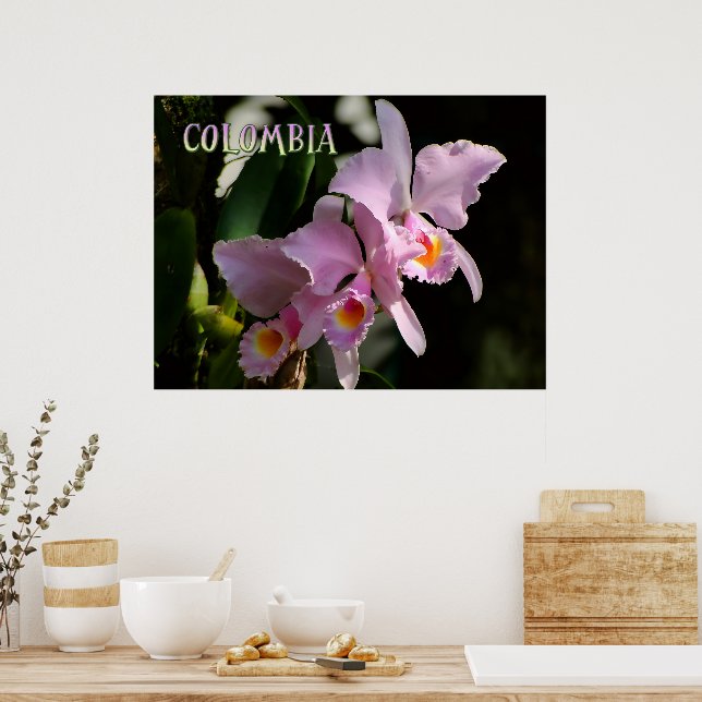 Poster Cores da Orquídea Colômbia (Cozinha)