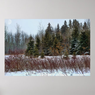 Poster Cores de inverno