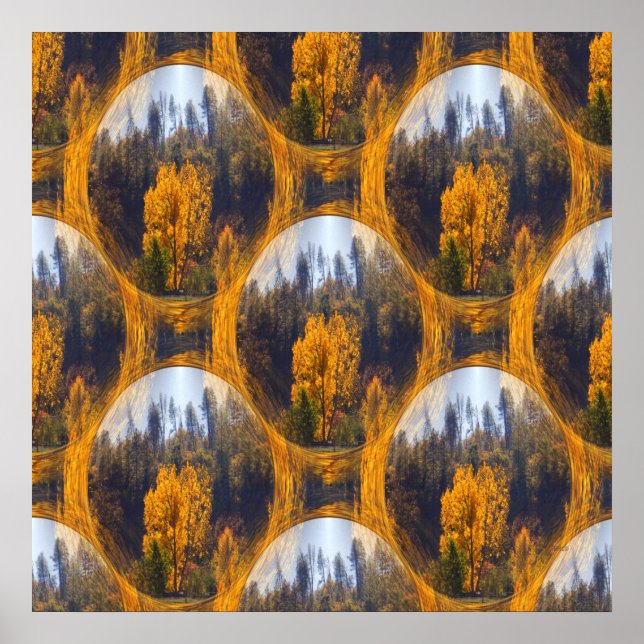 Poster Cores de queda em Hayfork.. (Frente)