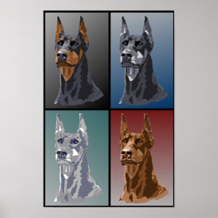 Poster Cores do Doberman