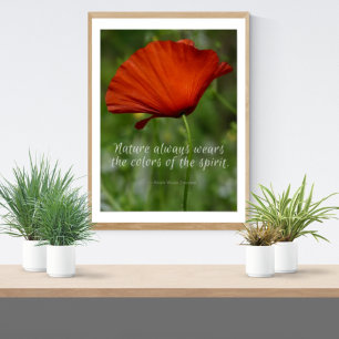 Poster Cores Natureza - Cores Emerson