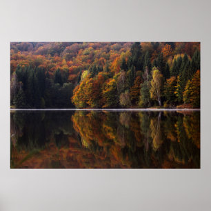 Poster Cores refletidas