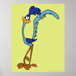 Poster Cores ROAD RUNNER™