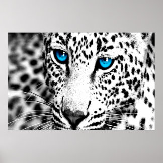Pôster Corey Tiger 80s Retro Leopard