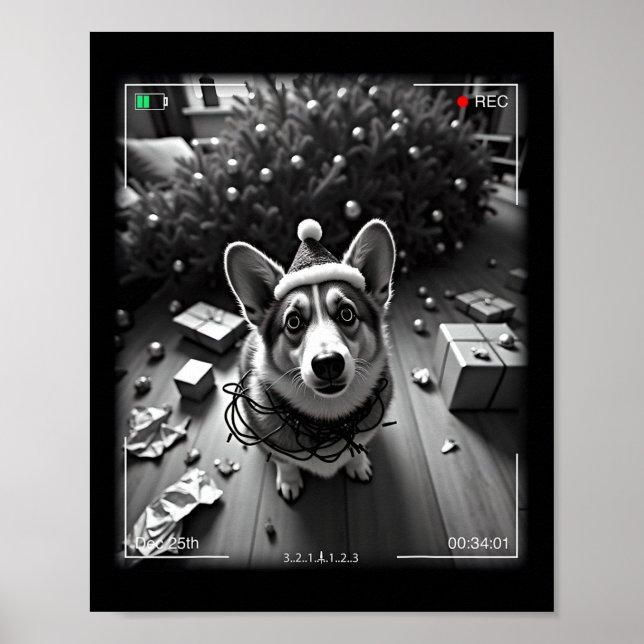 Poster Corgi de Natal Flagrado pela Câmera  (Frente)