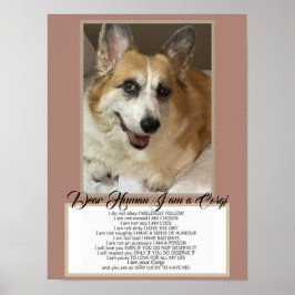 Poster Corgi Fala