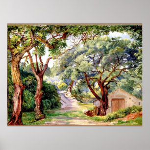 Poster Cork Trees em Cintra perto de Lisboa,