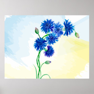 Poster Cornais de aquarela, de cor branca, a azul e amare