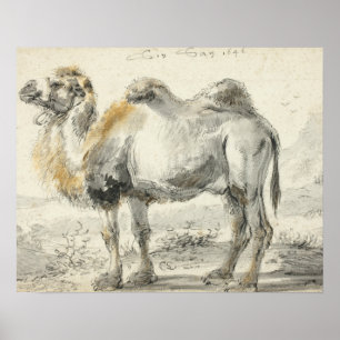 Poster Cornelis Saftleven - A Camel