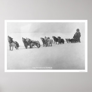 Poster Coro Alaska 1920 do Malamute