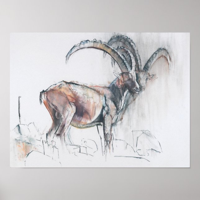 Poster Coronel di Vermianaz (Frente)