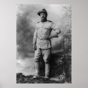 Pôster Coronel Teddy Roosevelt