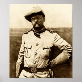 Pôster Coronel Theodore Roosevelt