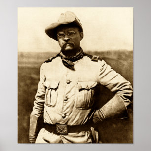 Pôster Coronel Theodore Roosevelt