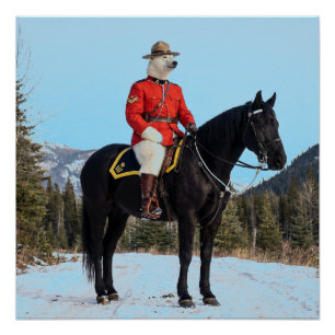 Pôster Corporal da RCMP de Urso Polar a Cavalo