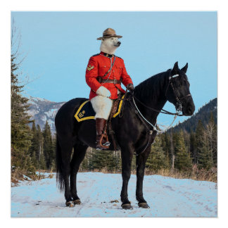 Pôster Corporal da RCMP de Urso Polar a Cavalo