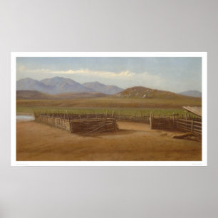 Pôster Corral, Papais noeis Rancho Margarita (1162)