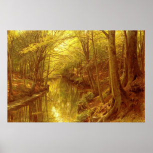 Poster Córrego da floresta