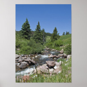 Poster Córrego da montanha de Colorado