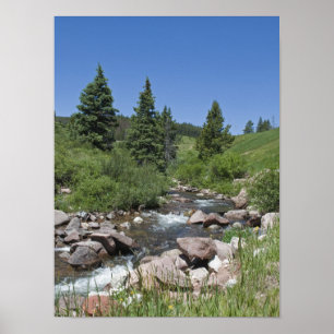 Poster Córrego da montanha de Colorado