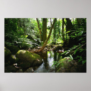 Pôster Córrego do vale de Manoa