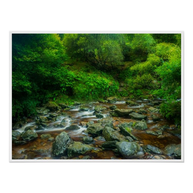 Pôster Córrego Florestal em Mata Exuberante (Rio Dargle) (Frente)