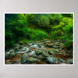 Poster Córrego Florestal em Mata Exuberante (Rio Dargle)