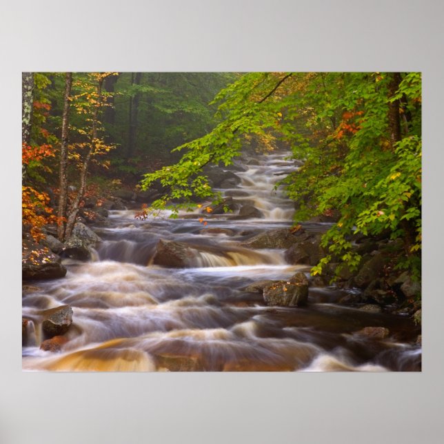 Poster Córregos Fluindo ao Longo da Trilha Appalachian (Frente)