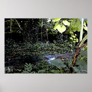 Pôster Córregos tropicais