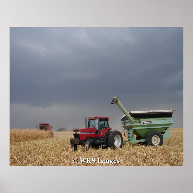 Pôster Correndo a Tempestade (Frente)